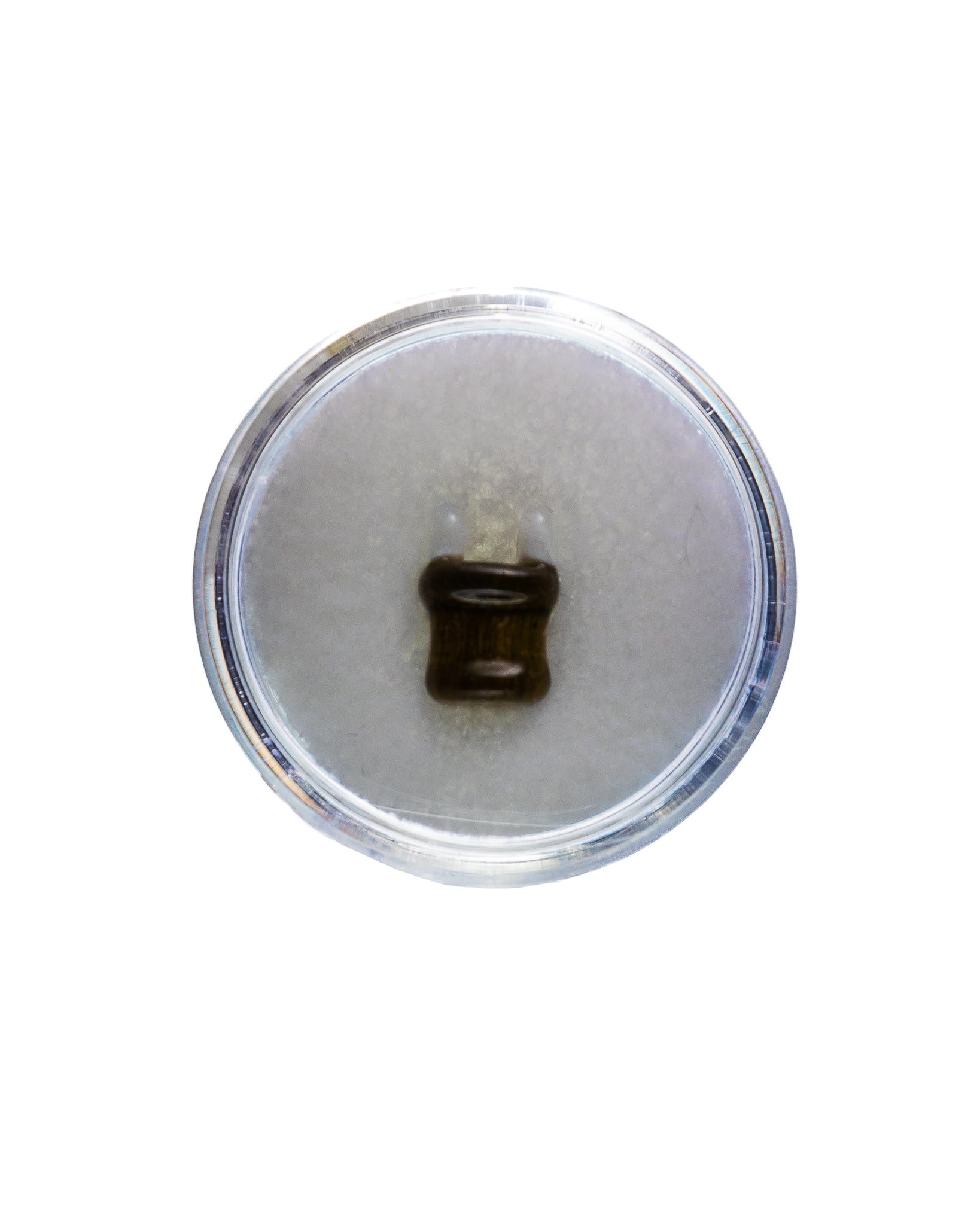 Aaron B - Assorted Plug Pearls