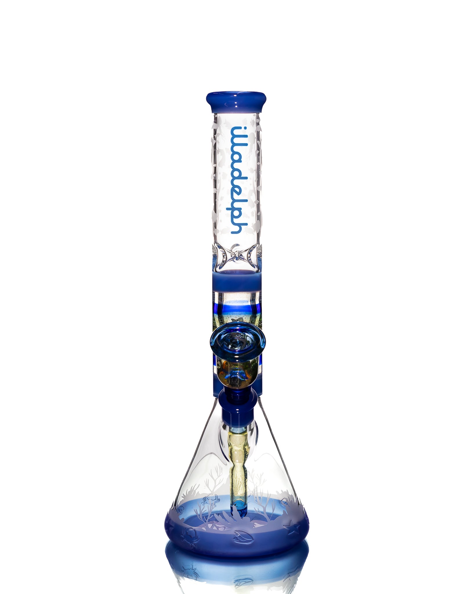 illadelph - Dave Strobel Aqua Beaker