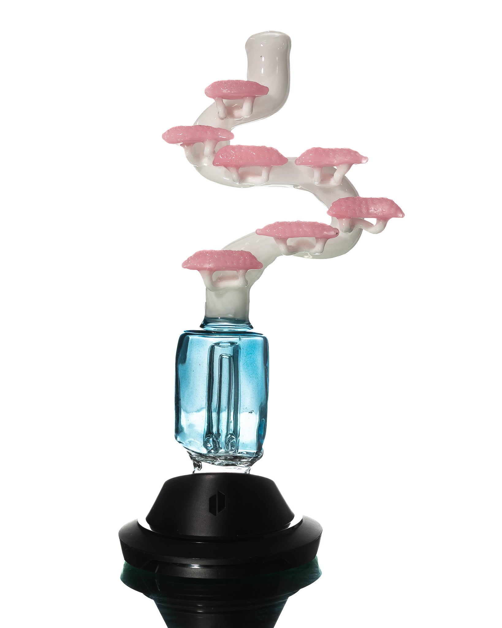 bonsai tree dab rig Cooper Glass